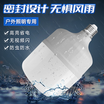 Outdoor waterproof LED light bulb energy-saving lamp bulb bayonet E27 large screw mouth ultra-bright balcony streetlamp courtyard lighting