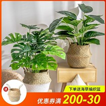 Nordic style living room simulation green plant monstera small potted plant fake green plant decoration decoration fake flower simulation flower decoration