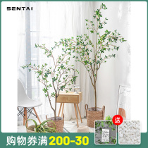 Simulation plant bell tree clothing store green plant decoration window scene layout plant landscaping decoration camellia tree