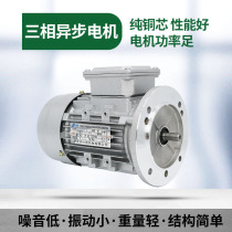 YS7124 YE2-71M2-4 Y2-71M2-4 Three-phase asynchronous motor 380V GB 0 37KW motor