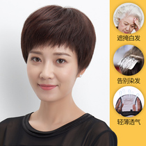 Wig female short hair middle-aged and elderly mother real hair natural oblique bangs hairstyle chemotherapy real hair silk temperament full head