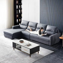 Double Tiger Furniture Private minimalist technology fabric sofa living room small apartment L type simple modern light luxury combination 550