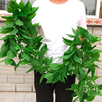 Plastic leaf rattan green vine fake simulation leaves green leaf decoration Green Flower Vine air conditioning tube cover
