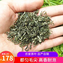 Guizhou Duyun Maojian Green Tea 2021 Mingqian Spring Tea Leaflet Alpine Cloud Tea 500g premium bulk