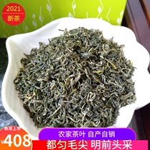 Guizhou authentic Duyun Maojian Spring Tea 2021 Mingqian New Tea Alpine Green Tea leaflets bulk 500g gift box