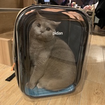 pidan pet backpack cat bag out portable space cabin breathable double shoulder bag hand carrying large size foldable