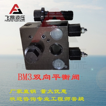 Hydraulic motor balance Valve Lock block single-way BM2 BM3 BM5 balance valve overflow valve instigator valve mechanical crane