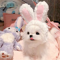 Pet cat dog vertical ear small white rabbit hat white rabbit ear shape hat cute selling cute photo headdress