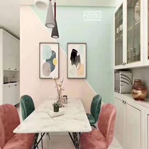 German Fima latex paint (exclusive live broadcast)