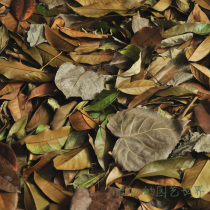 Window deciduous set Advertising shooting Deciduous wedding Deciduous specimen leaves dried flowers Leaves Decorative leaves Natural