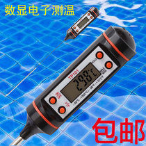 Swimming pool thermometer Baby swimming temperature measurement Hot spring bath water temperature meter Food electronic high-precision digital display needle type