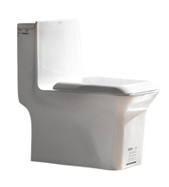 ARROW Wrigley bathroom AB1170 toilet