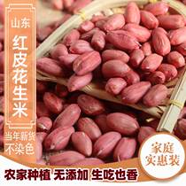 Peanut red peanuts vermicelli peanut large peanuts Shandong old peanut shelled peanut 5 catties