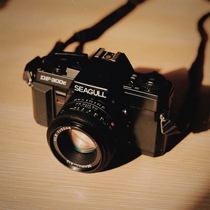 Shu straight) professional film SLR domestic Classic Phoenix seagull side camera film SLR camera