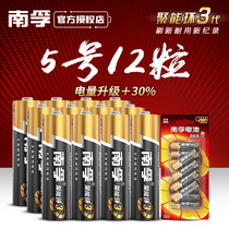 Nanfu battery No 5 12-cell childrens toy car remote control No 5 alkaline dry battery alarm clock mouse