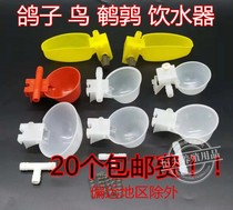 Evergrande pigeon cage Pigeon bird quail chicken drinking fountain Automatic drinking cup Water bowl Sink box Carrier pigeon supplies and utensils