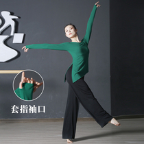 Dance practice clothes female adult modern dance dance costume set long sleeve top classical body training set