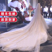The brides main wedding veil long Qi Tiao tail champagne headdress Diamond starry sky Super fairy forest series photo props