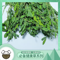 Alfalfa 2021 new grass purple flower rabbit Chinchilla herbage rabbit grain guinea pig feed hay hair weight 1000g