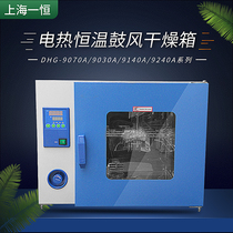  Shanghai Yiheng DHG BPG-9070A 9075A 9140A 9145A 9240A Electric blast drying oven