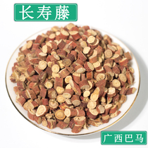 Bama Longevity Vine tea Rich vine Guangxi specialty tea Small Licorice Liquorice Qingxin Tengteng Tea 500g 