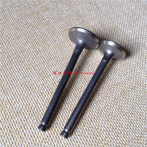 Dayang Motorcycle accessories 125-9 -9A 10 10A 52 52C 100-C D 100T-7 intake and exhaust valve