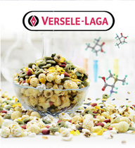 Belgian Versell Nutritious Popcorn Snacks 50g Dishments Teach Rabbit Grass Hamster Chinchilla Dutch Pig