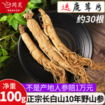 Ginseng Wild mountain ginseng Changbai Mountain Northeast specialty Ren San Sheng sun forest white ginseng Fresh dry goods Soaked wine dried ginseng