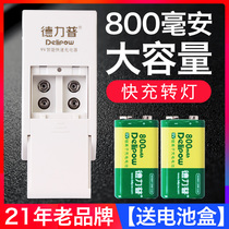 delipow 9v charging battery capacity 800 mA universal multimeter microphone guitar alarm general 6f22 stack nine volts 9 square lithium battery