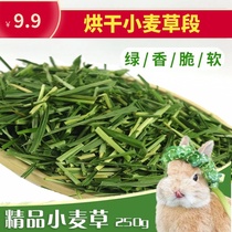 2021 dried wheat grass section rabbit Chinchow pig high quality wheat grass tender seedling hay pasture 250g