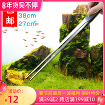 Stainless steel aquatic grass clip fish tank landscape tool straight bend clip fleshy planting turtle reptile feeding clip super long tweezers