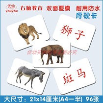 Early Education Duman Encyclopedia Animal Flash Card Right Brain Potential Development Baby Childrens Puzzle View Literacy Cognitive Card