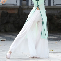 Classical dance practice suit female dance performance national costume wide-legged pants Mesh flash point black pants