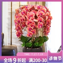 High-end phalaenopsis simulation flower fake flower living room decoration flower orchid flower arrangement Floral ornaments Plastic flower ornaments