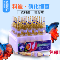 Cordinitrobacteria Water Group Digestive Bacteria Seawater Fish Tank Raising Water Supplies Nitrobacteria Injection Water Quality Purification