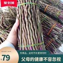 Yunnan premium edible Dendrobium non-wild Huoshan tin Maple four-year-old authentic fresh strip 500g