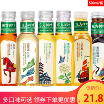 Nongfu Spring Oriental Leaf Sugar-Free Green Orange Puer Xuemun Rice Jasmine Green Oolong Tea Drink 5 Bottles
