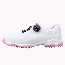 PGM golf shoes womens golf shoes anti-slip spikes waterproof breathable shoes spin buckle shoelaces