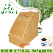 4 Litres Large Capacity Wet Steam Sweat Steam Box Wellness House Sweating Box Sweat Steam Room Single Steam Room Wood