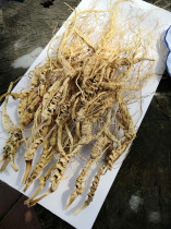 Laoshan Ginseng brewing wine Ginseng pruning three Northeast specialties Wild mountain ginseng extra large 25 years under the forest ginseng Under the forest first class