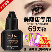 Graft eyelash glue quick-drying and long-lasting firm Fresh super-sticky beauty shop special low-stimulation planting false eyelashes