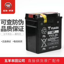Wuyang Honda Blast Eye CB190R Dao Mengyu War Eagle CBF190TR Phantom Shadow Battery Soup Battery