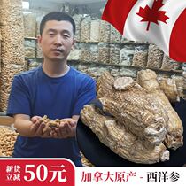 Qing Yun Tang Canadian American Ginseng Grain head American Ginseng 500g round grain raw branch sliced and powdered 6-year-old ginseng
