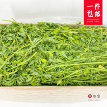  (Ice House) Alfalfa 21-year-old new grass Rabbit Chinchilla forage Guinea pig Nutritional forage 1kg