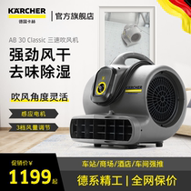  Germany Kach kach industrial high-power blower Toilet floor blow-drying hair dryer Floor blower AB30