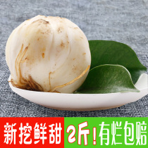 Gansu Lanzhou lily with fresh lilies edible pure Lanzhou terratian natural and sweet vacuum natural non-special class lilies