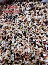 Spray nest pigeon grain brood pigeon food letter young pigeon no corn small grain nutrition feed pigeon grain 50kg