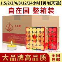 Home 4 8 24 hours Smoke-free Buddha in the garden Crisp Oil Lamp Home 4 8 24 Hours Smoke-free Buddha Oil Candle Polyfort Tank Long Bright Light