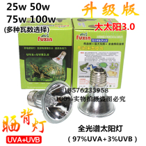 Reptile Pet Heating Light Insulation Lamp UVA UVB Full Spectrum Solar Light Turtle Lizard Snake Warm Light Tonic Calcium