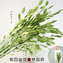 Real flower dried flower bouquet living room decoration natural air dried ins light luxury small Bouquet decoration package to give people small hope grass